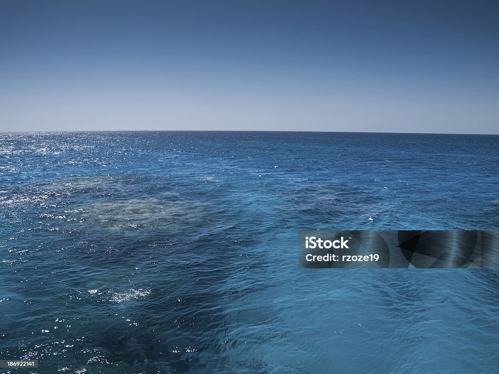 Mar turquesa y de coral bajo el agua - Foto de stock de Agua libre de derechos