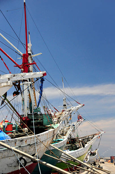 Jakarta, Java, Indonesia: prows of pinisi ships, Sunda Kelapa harbor