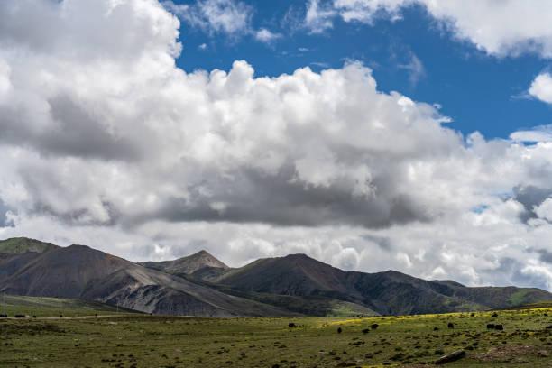 Grasslands and Mountains in the Cloudy Plateau