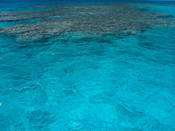 istock turquoise sea and coral under water 186922549