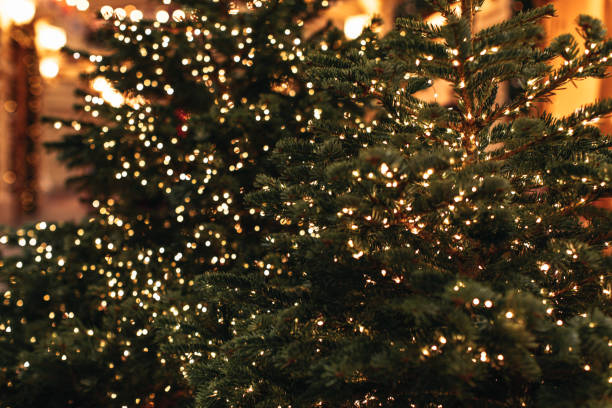 istock Christmas tree green branches decorated with sparkling golden garlands lights. 1869230291