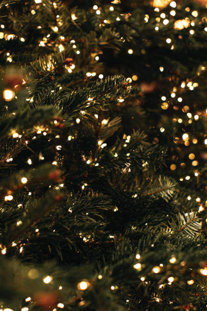 istock Christmas tree green branches decorated with sparkling golden garlands lights. 1869230321