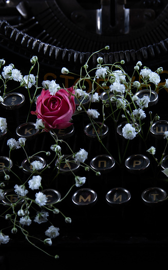 roses and gypsophila flowers in old tipywriter, dark design concept