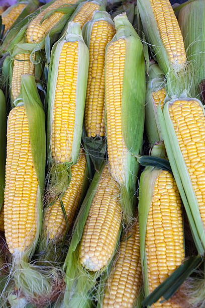 istock Corn for sale at farmers' market 186923910