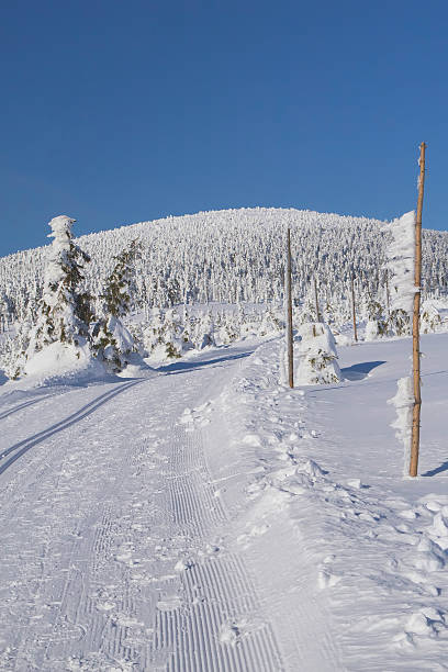 лыжный кросс пути в горы - mono ski стоковые фото и изображения