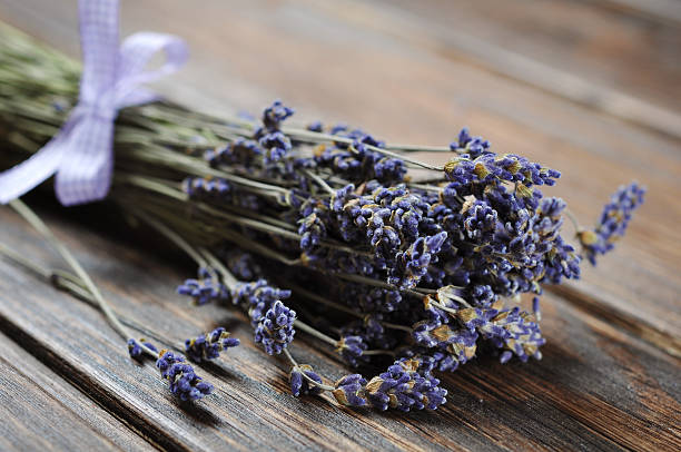 istock bunch of lavender flowers 186925474
