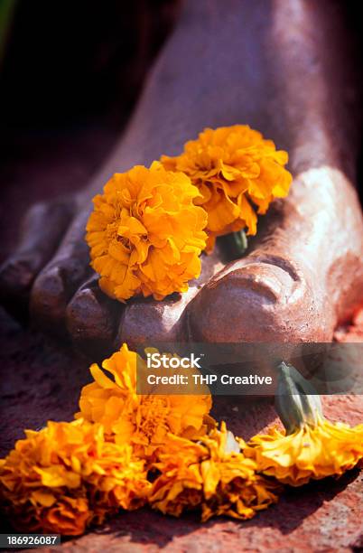 Flores Em Pés - Fotografias de stock e mais imagens de Cultura Indiana - Cultura Indiana, Espiritualidade, Estátua