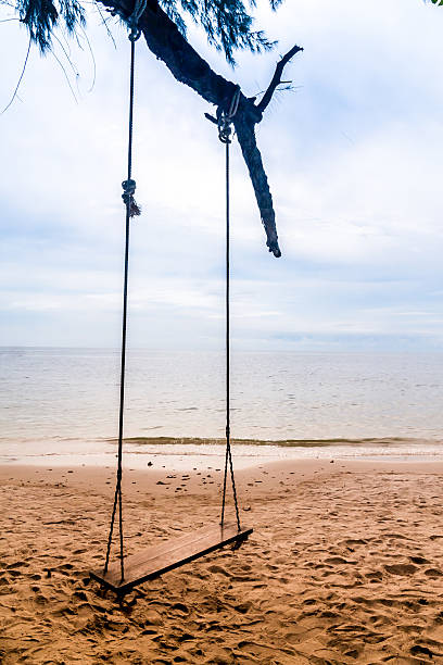 istock Wooden swing hanging on tree 186926688