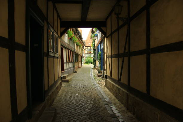 istock Timbered Path: Whispers of the Past 1869277085