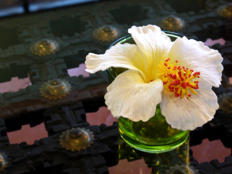 Hibiscus Flower on the table