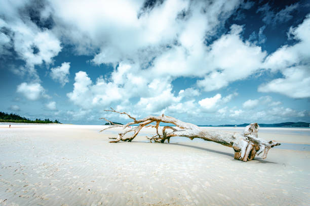 Image captured while traversing Pohara which is a warm, safe and sandy beach in Golden Bay, north of the Abel Tasman National Park and just 10 minutes from the Takaka township.