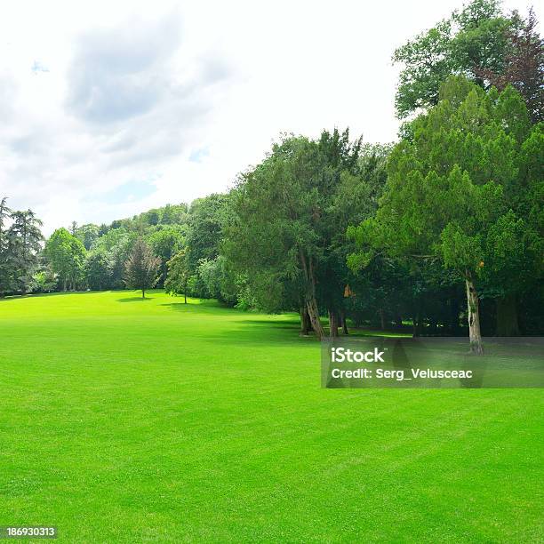 Meadow No Parque - Fotografias de stock e mais imagens de Ajardinado - Ajardinado, Ao Ar Livre, Beleza natural