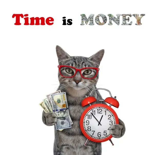 Photo of Cat gray with alarm clock and dollars
