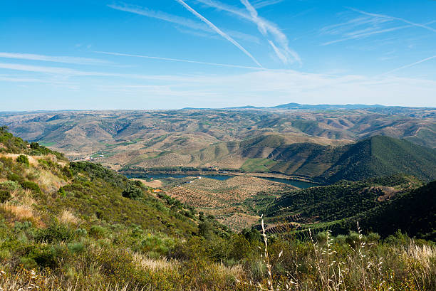 на холмы и долины реки дуэро в португалии - douro valley clear sky copy space nobody стоковые фото и изображения