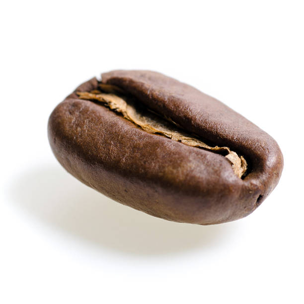 one espresso bean before white background stock photo