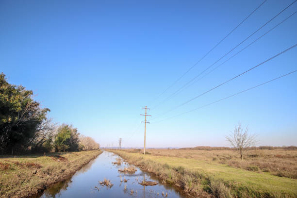 istock National park Ispani in Kobuleti, Georgia. 1869325344