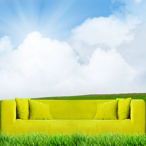 The sofa in the field