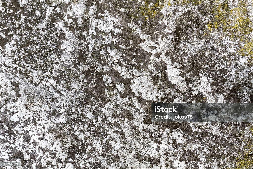 Superfície de textura de pedra com Musgo tempo Batida - Royalty-free Ao Ar Livre Foto de stock