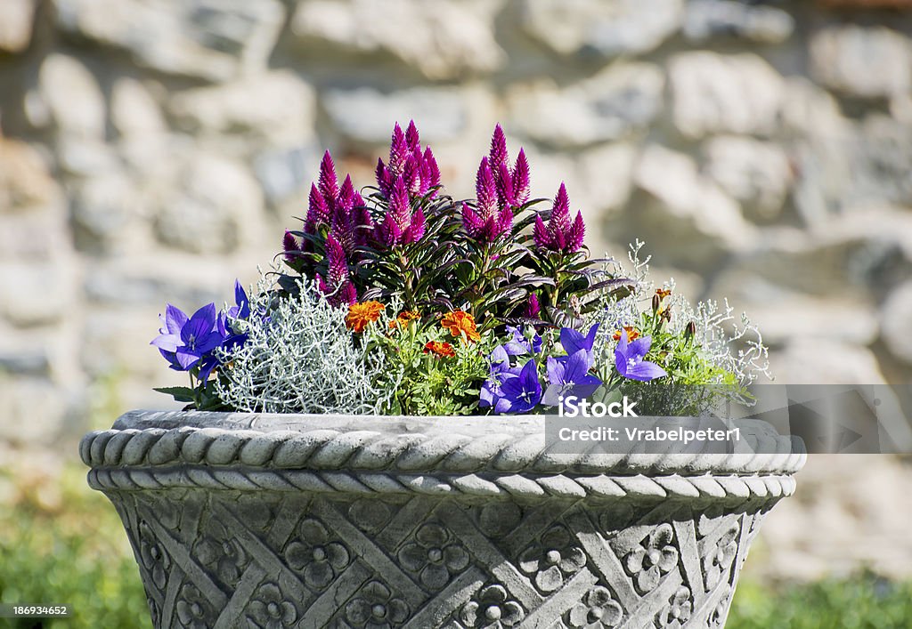 Modèle flowerpot plein de fleurs - Photo de Arbre en fleurs libre de droits