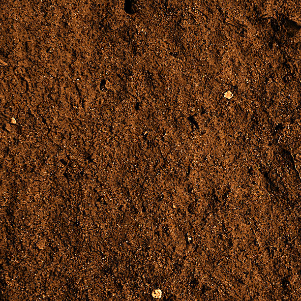 soil dirt texture stock photo