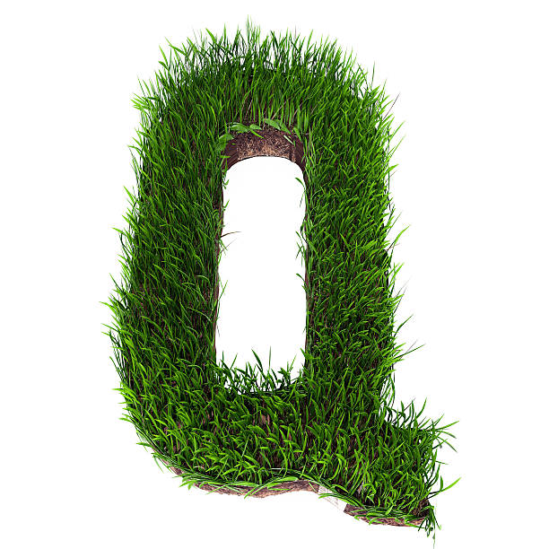 Grass letter Q stock photo
