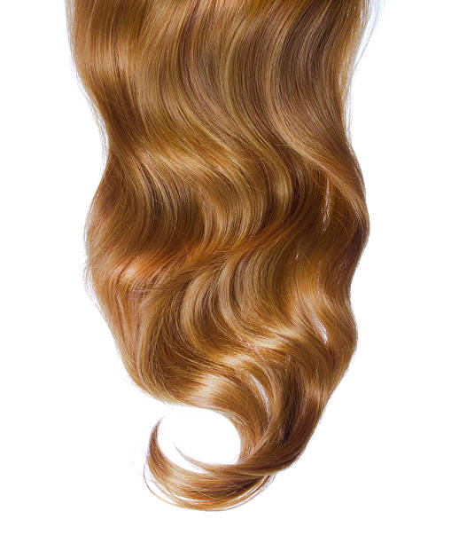 istock curly brown hair isolated 186937192