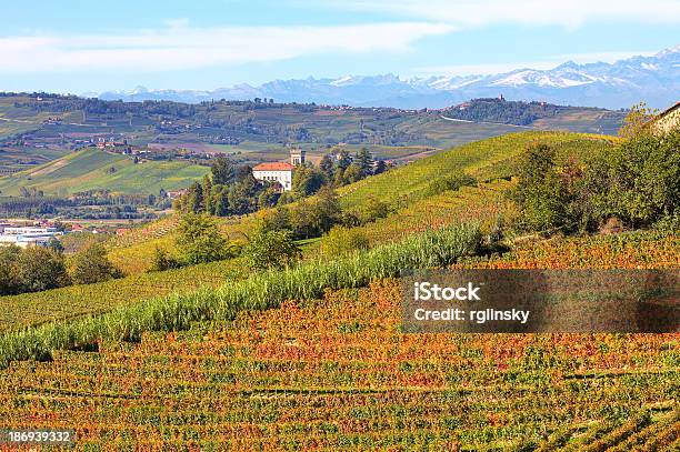 Autumnal Vista De Los Viñedos De Piamonte Italia Foto de stock y más banco de imágenes de Agricultura - Agricultura, Aire libre, Ajardinado