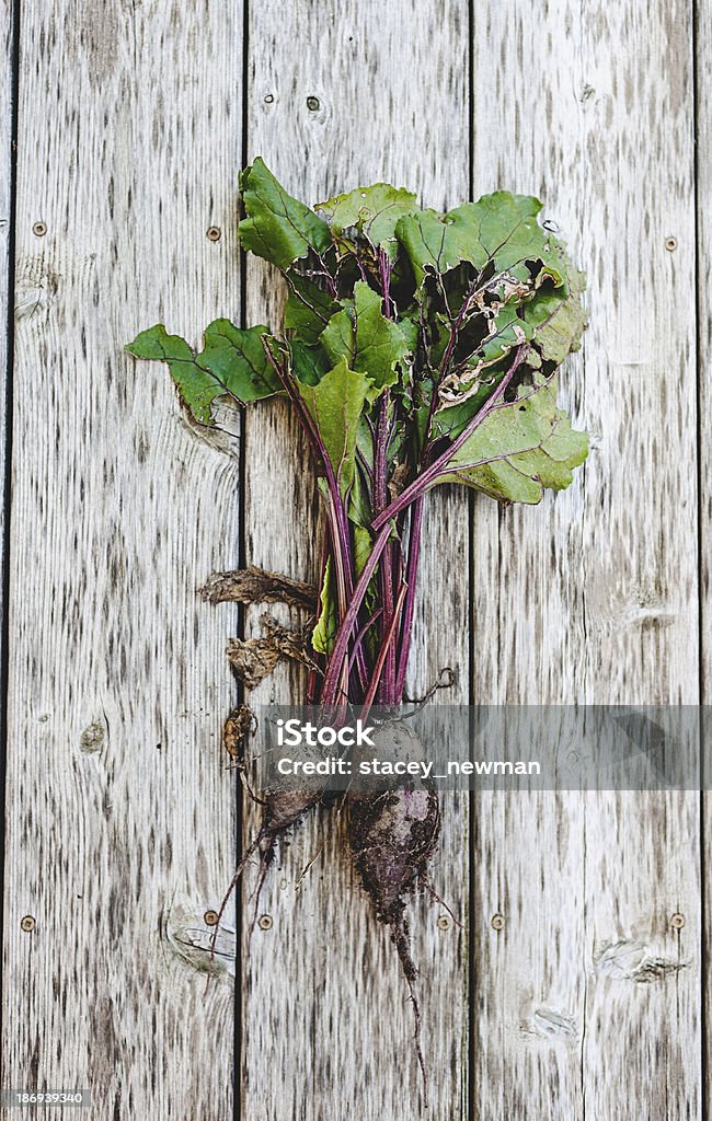 Fresh Garden Beets Beet Stock Photo