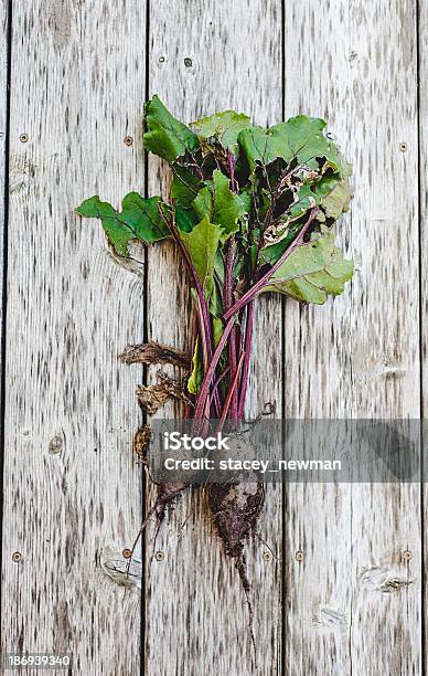 Fresh Garden Beets Stock Photo - Download Image Now - Beet, Beet Green, Crop - Plant