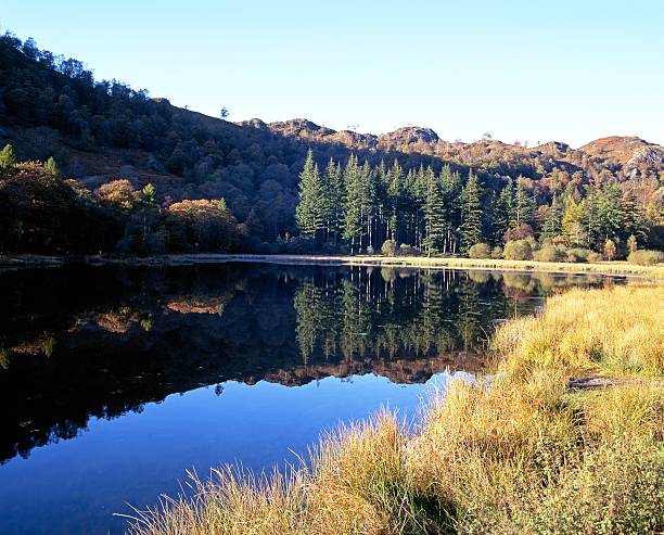 istock Lake, Ambleside, Cumbria, UK. 186940686