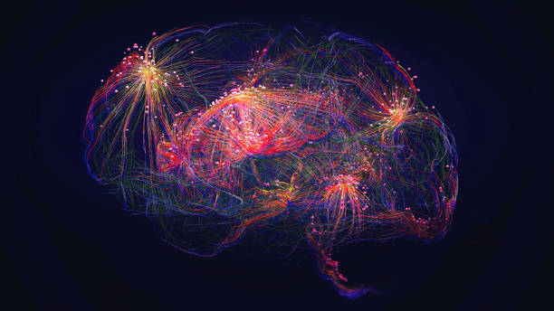 cerebro humano  - mri scan human nervous system brain medical scan fotografías e imágenes de stock