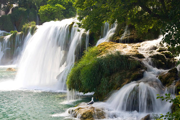 istock Waterfalls on Krka River. National Park, Dalmatia, Croatia 186942670