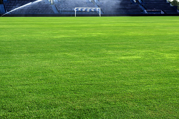 istock Watering soccer grass field 186942903