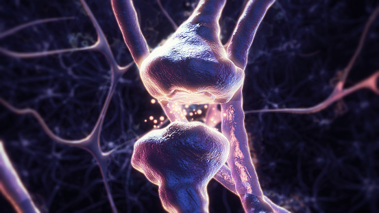 Brains Neurons,Synapse of neuron cell,information transfer at the cellular or atomic level,Active receptor