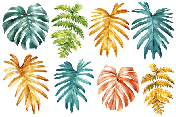 istock Colorful Tropical watercolor palm leaf. Monstera exotic green plant isolated on white background. Watercolor flora illustration, leaf Clipart, hand drawing Botanical painting 1869439276