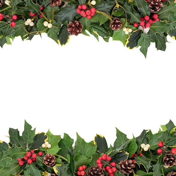 istock Christmas Floral Border 186944204