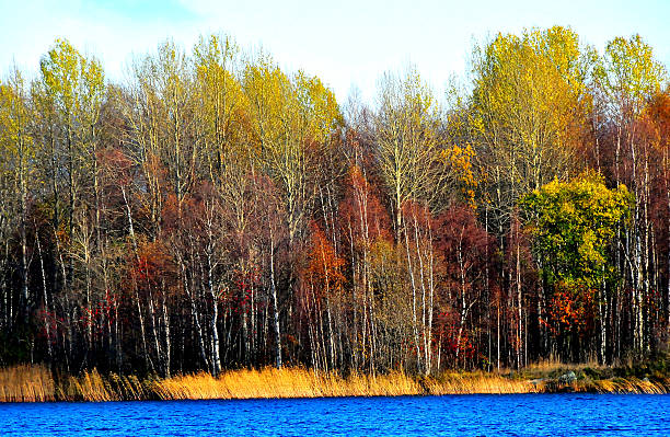 istock Beautiful fall season along Russia waterway 186944334