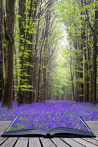 istock Creative concept book Vibrant bluebell Spring forest landscape 186944726