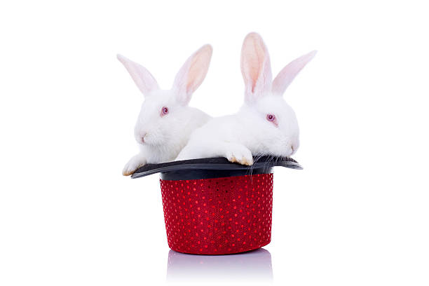 istock two cute bunnies standing in a hat 186945002