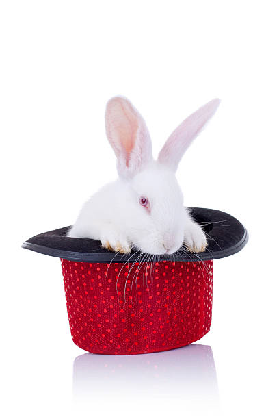 istock Adorable white bunny standing in a red hat 186945003