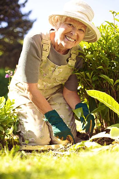 istock New addition to the garden 186945010