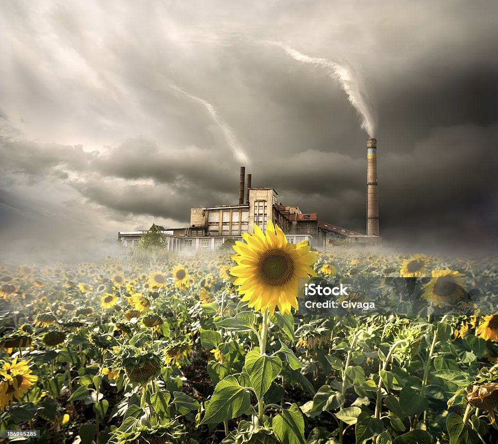Загрязнение окружающей среды - Стоковые фото Аварии и катастрофы роялти-фри