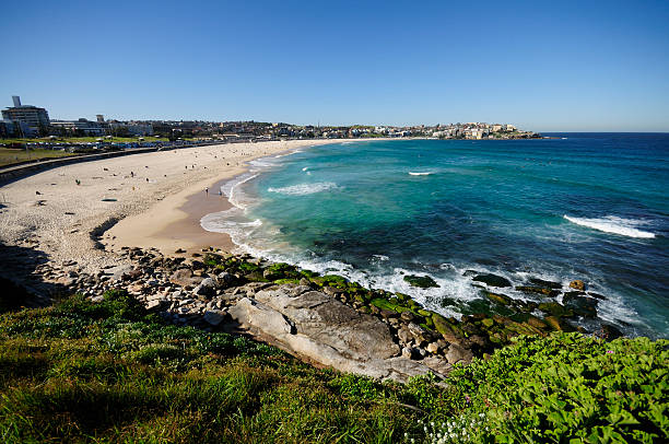 istock Top view of Bondi Beach 186946033
