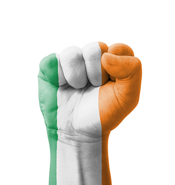 istock Fist of Ireland flag painted, multi purpose concept 186946171