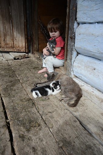 A little beauty is played with a little cat in the village 2018