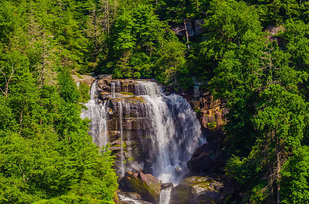 istock Whitewater Falls in North Carolina 186947039
