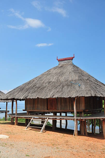 istock Tibar bay, East Timor: traditional timorese house 186947130