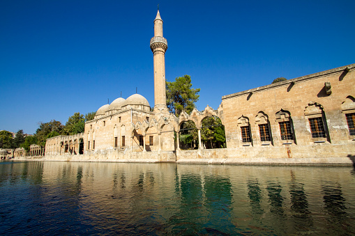 Balikligol (The Fish Lake in English) in Sanliurfa, Turkey. The historic Pool of Abraham, or Pool of Sacred Fish in the city of Urfa, Turkey
