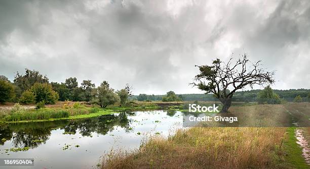 Cloudy Sky Over The River Stock Photo - Download Image Now - Agricultural Field, Autumn, Backgrounds