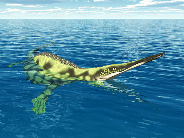 istock Marine Reptile Hupehsuchus 186950618